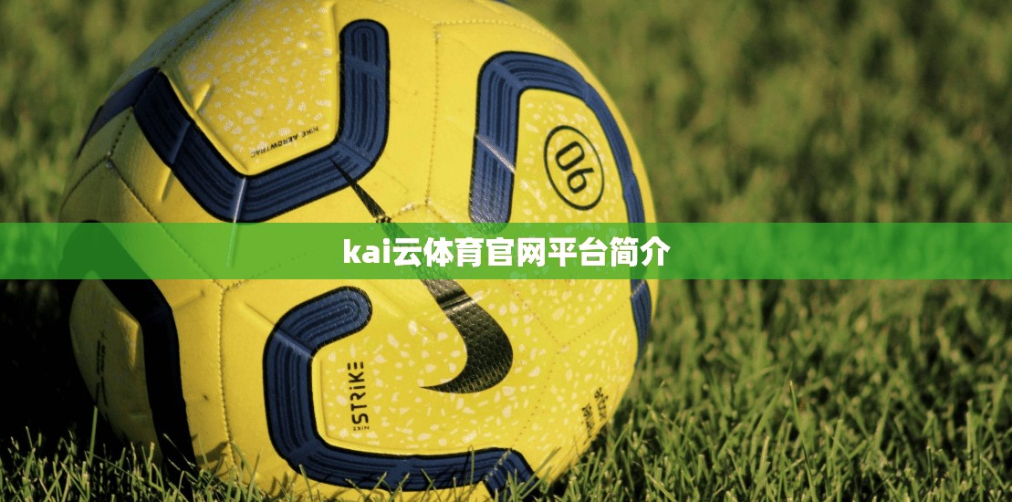kai云体育官网平台简介