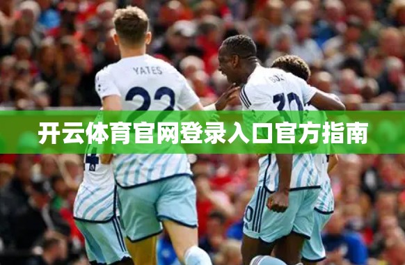 开云体育官网登录入口官方指南
