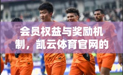 会员权益与奖励机制，凯云体育官网的未来展望