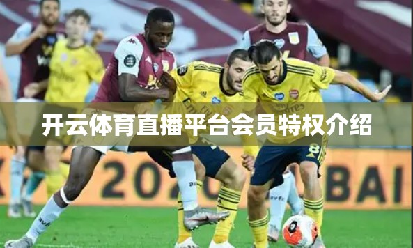 开云体育直播平台会员特权介绍