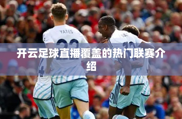开云足球直播覆盖的热门联赛介绍