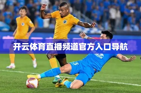 开云体育直播频道官方入口导航