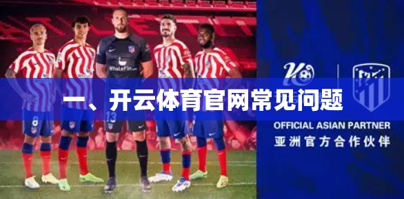 一、开云体育官网常见问题