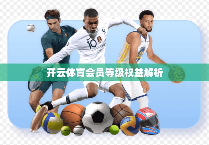 开云体育会员等级权益解析