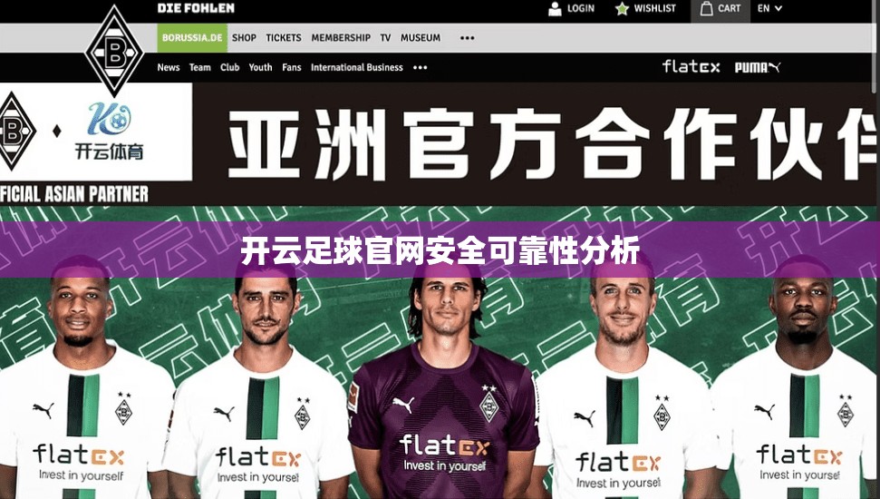 开云足球官网安全可靠性分析