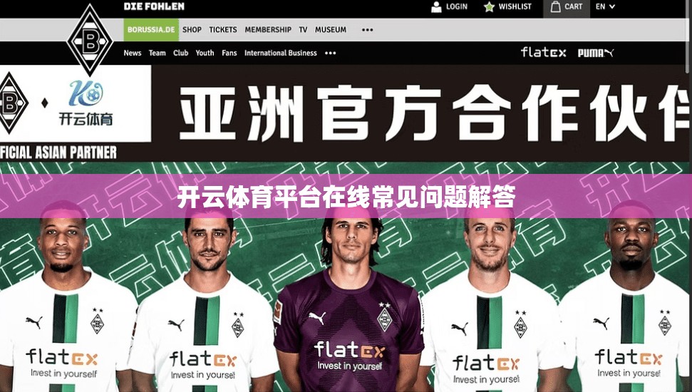 开云体育平台在线常见问题解答