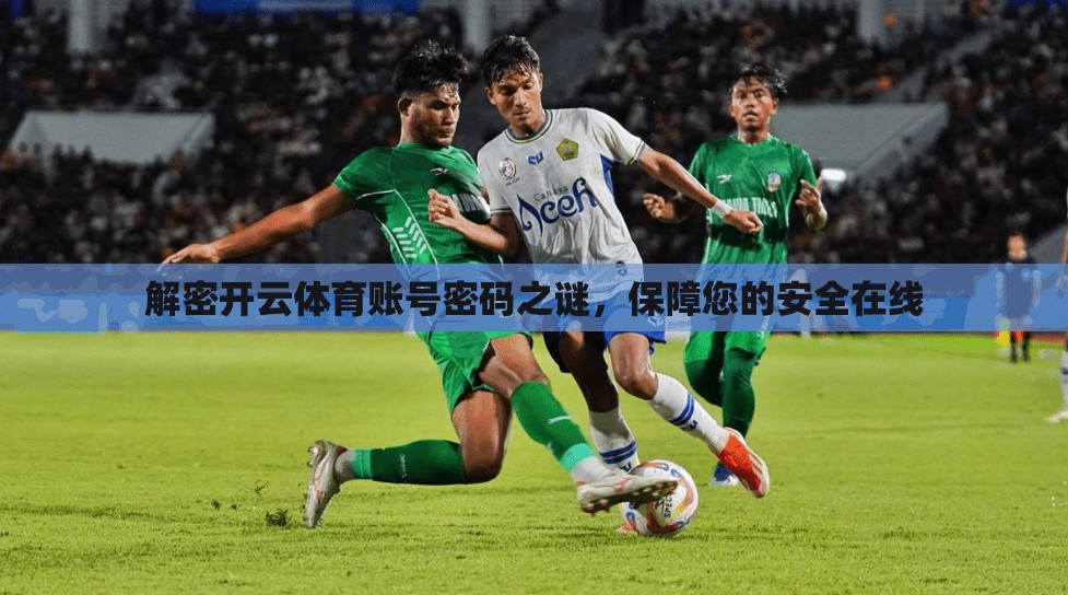 解密开云体育账号密码之谜，保障您的安全在线