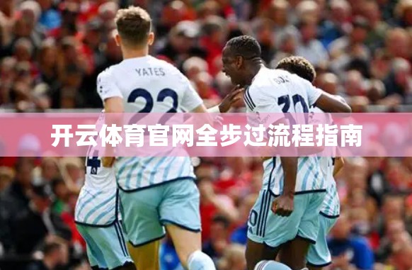 开云体育官网全步过流程指南