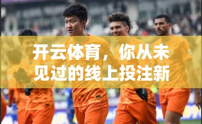 开云体育，你从未见过的线上投注新体验