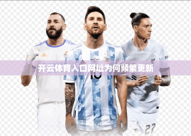 开云体育入口网址为何频繁更新