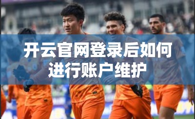 开云官网登录后如何进行账户维护