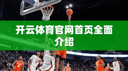 开云体育官网首页全面介绍