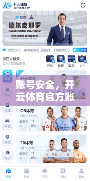 账号安全，开云体育官方账号查询指南