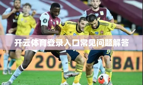 开云体育登录入口常见问题解答