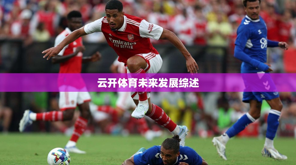 云开体育未来发展综述