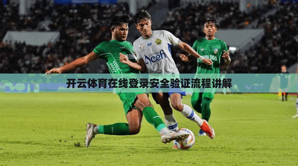 开云体育在线登录安全验证流程讲解