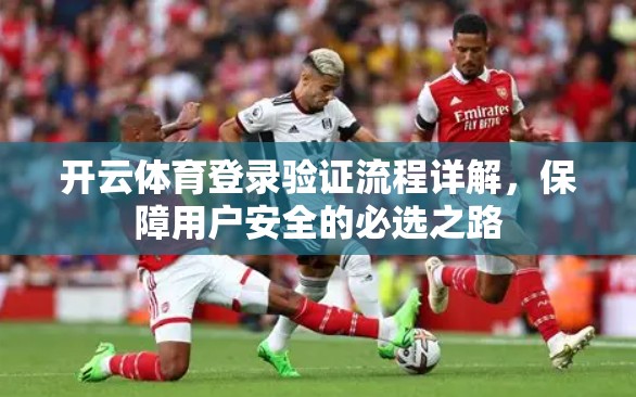 开云体育登录验证流程详解，保障用户安全的必选之路