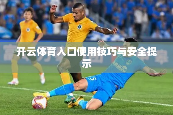 开云体育入口使用技巧与安全提示