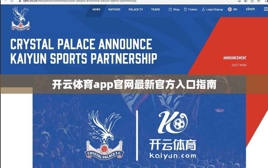 开云体育app官网最新官方入口指南