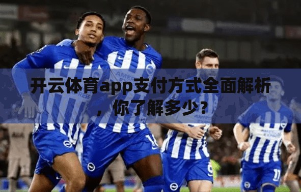 开云体育app支付方式全面解析，你了解多少？