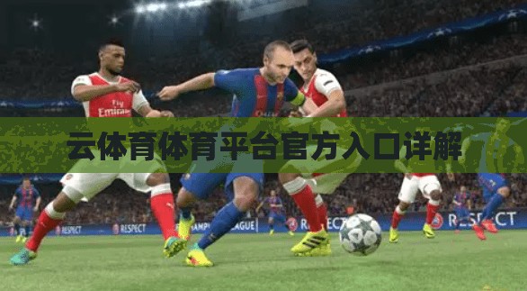 云体育体育平台官方入口详解