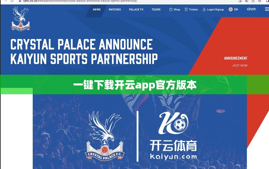 一键下载开云app官方版本