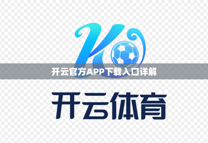 开云官方APP下载入口详解