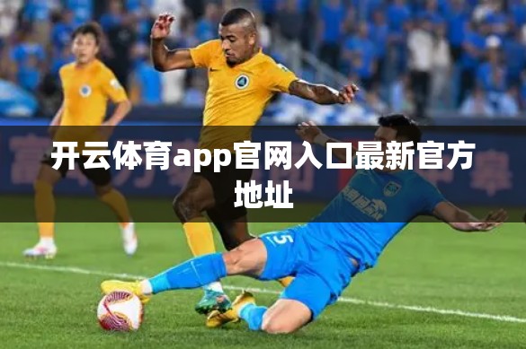 开云体育app官网入口最新官方地址