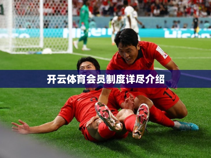 开云体育会员制度详尽介绍