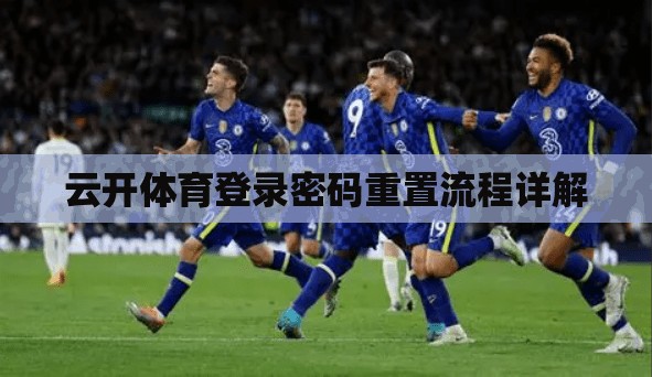 云开体育登录密码重置流程详解