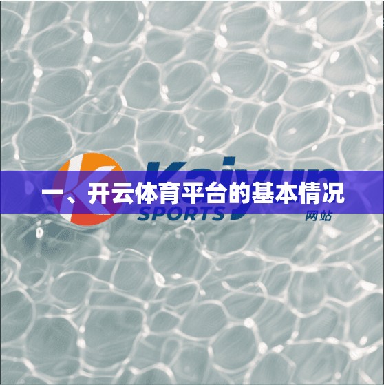 一、开云体育平台的基本情况