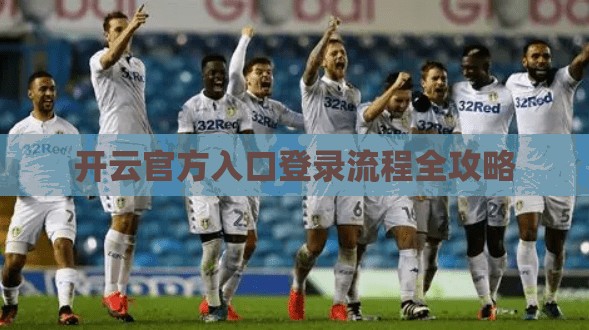 开云官方入口登录流程全攻略