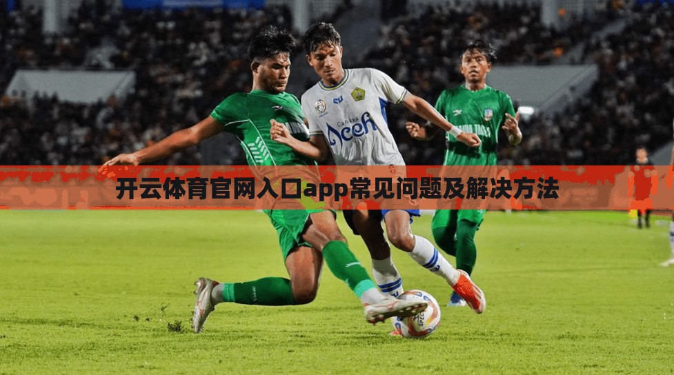 开云体育官网入口app常见问题及解决方法