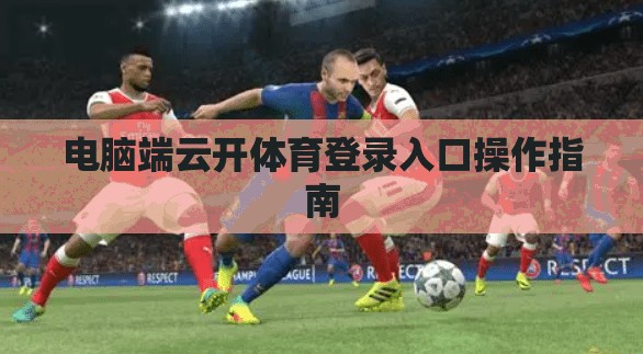 电脑端云开体育登录入口操作指南
