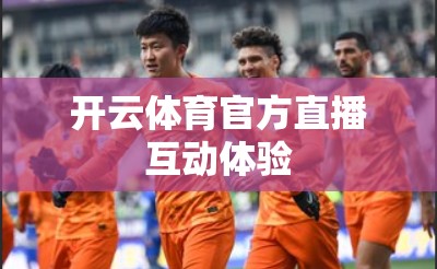 开云体育官方直播互动体验