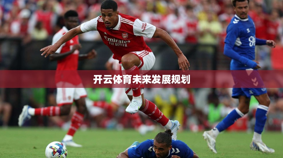 开云体育未来发展规划