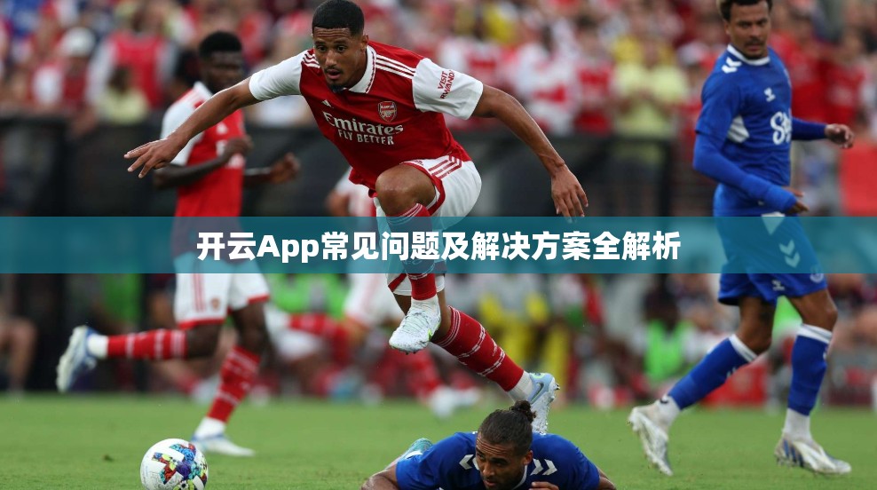 开云App常见问题及解决方案全解析