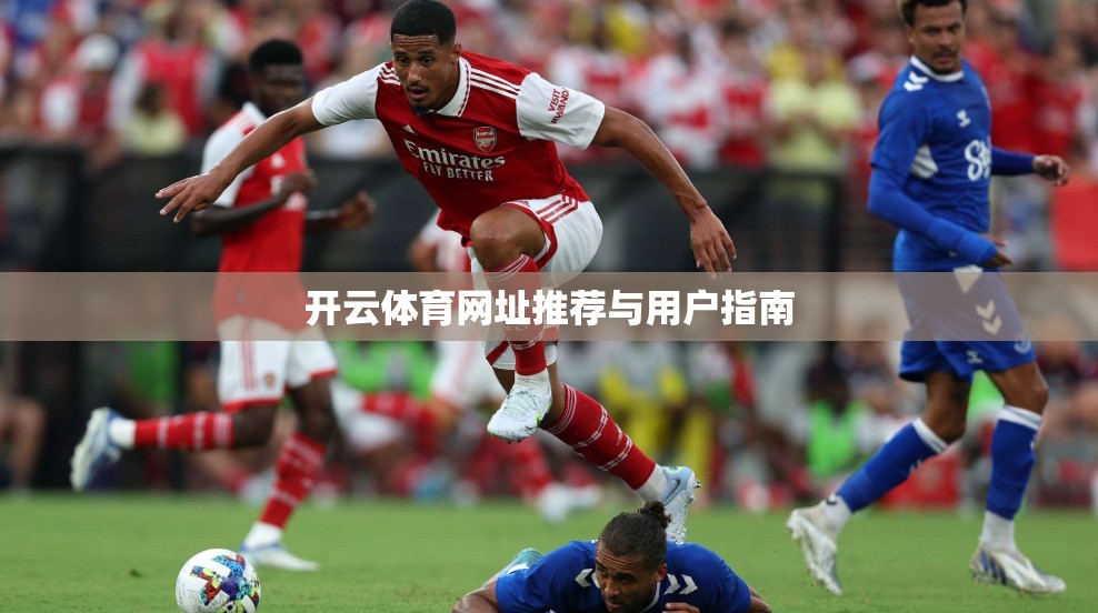 开云体育网址推荐与用户指南