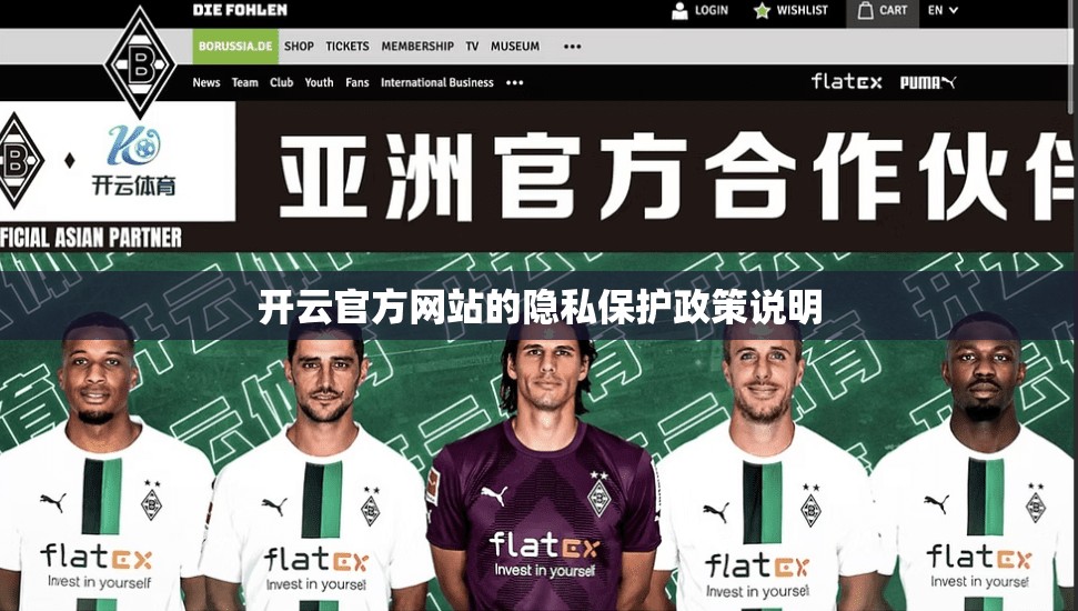 开云官方网站的隐私保护政策说明