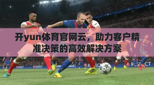 开yun体育官网云，助力客户精准决策的高效解决方案