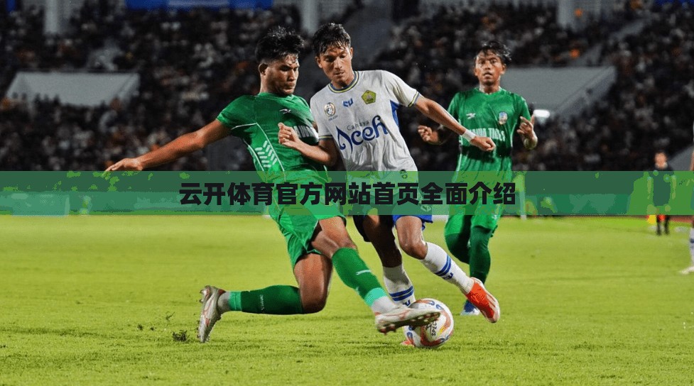 云开体育官方网站首页全面介绍