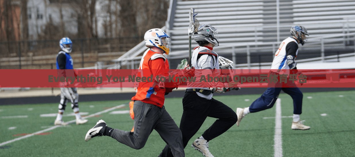 Everything You Need to Know About Open云体育平台