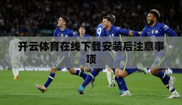 开云体育在线下载安装后注意事项