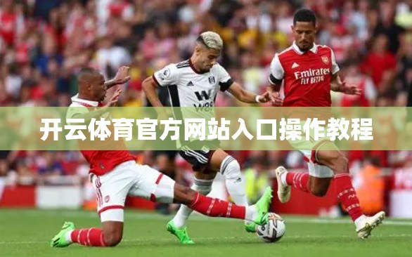 开云体育官方网站入口操作教程
