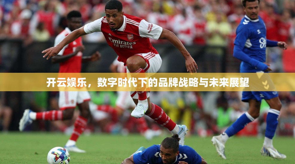 开云娱乐，数字时代下的品牌战略与未来展望