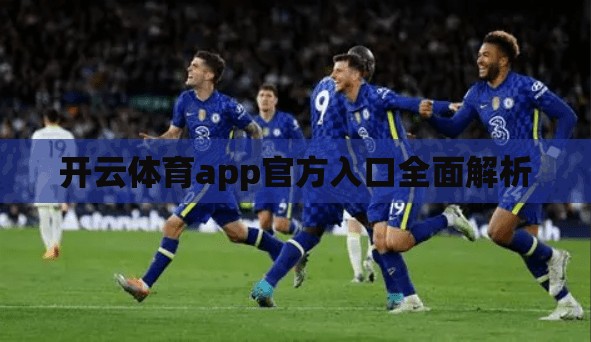 开云体育app官方入口全面解析
