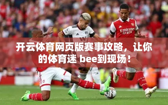 开云体育网页版赛事攻略，让你的体育迷 bee到现场！